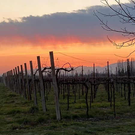 Agriturismo Richeton Gaiarine Екстериор снимка