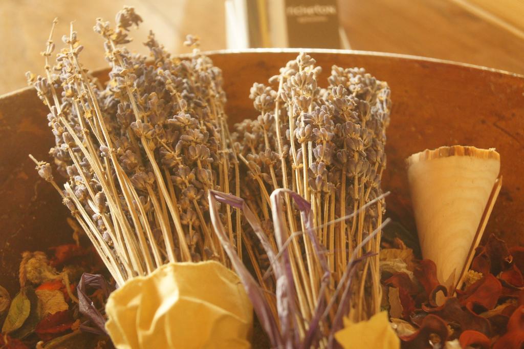 Agriturismo Richeton Gaiarine Екстериор снимка
