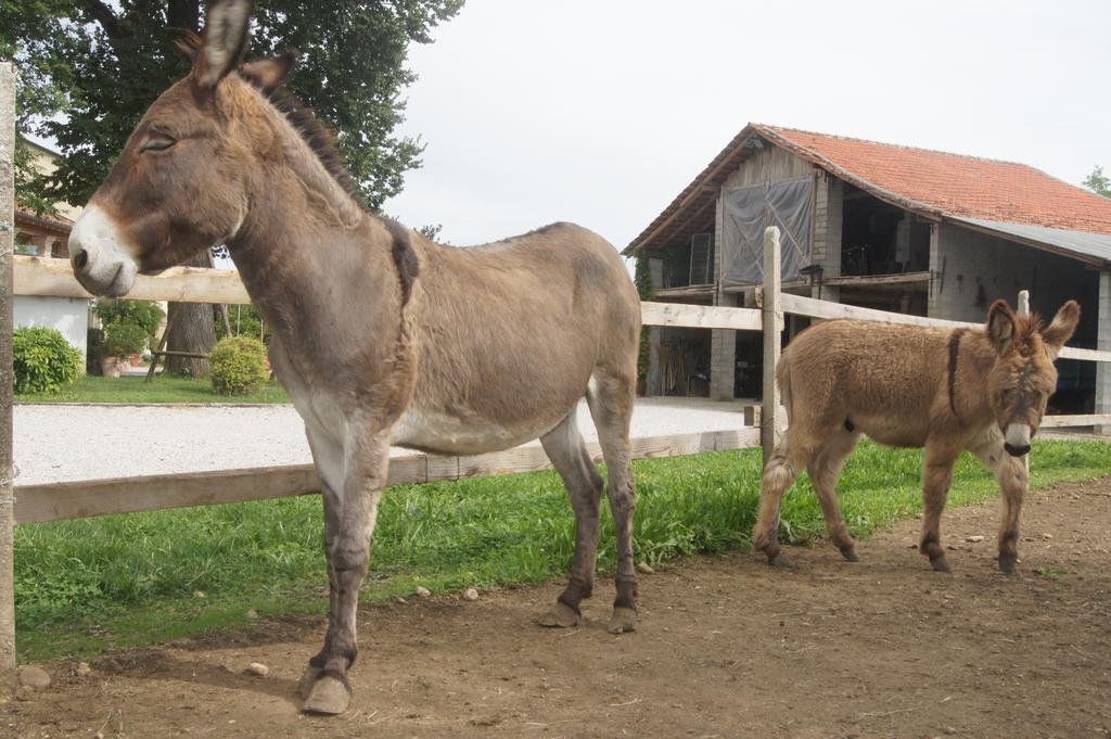 Agriturismo Richeton Gaiarine Екстериор снимка